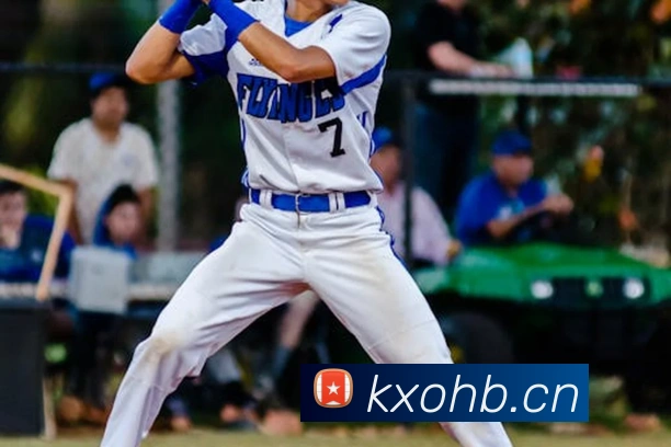 星空官方网页版入口服务体系